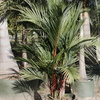 Thumb_cwg_1022_0303